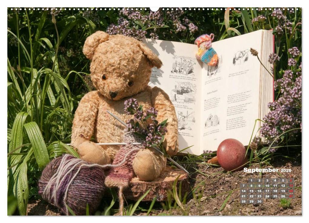 Weitere Ansicht: Geliebte Bären - Teddys (hochwertiger Premium Wandkalender 2026 DIN A2 quer), Kunstdruck in Hochglanz | Meike Bölts, Calvendo