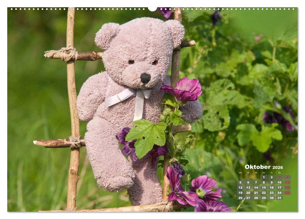 Weitere Ansicht: Geliebte Bären - Teddys (hochwertiger Premium Wandkalender 2026 DIN A2 quer), Kunstdruck in Hochglanz | Meike Bölts, Calvendo
