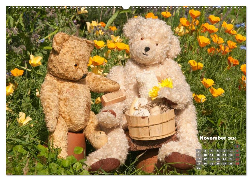 Weitere Ansicht: Geliebte Bären - Teddys (hochwertiger Premium Wandkalender 2026 DIN A2 quer), Kunstdruck in Hochglanz | Meike Bölts, Calvendo