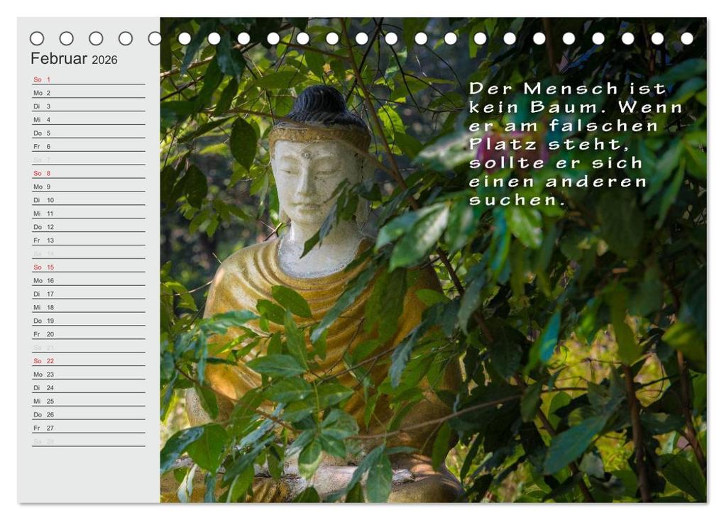 Weitere Ansicht: BUDDHA Buddhistische Weisheiten (Tischkalender 2026 DIN A5 quer), CALVENDO Monatskalender | BuddhaART BuddhaART, Calvendo, BuddhaART