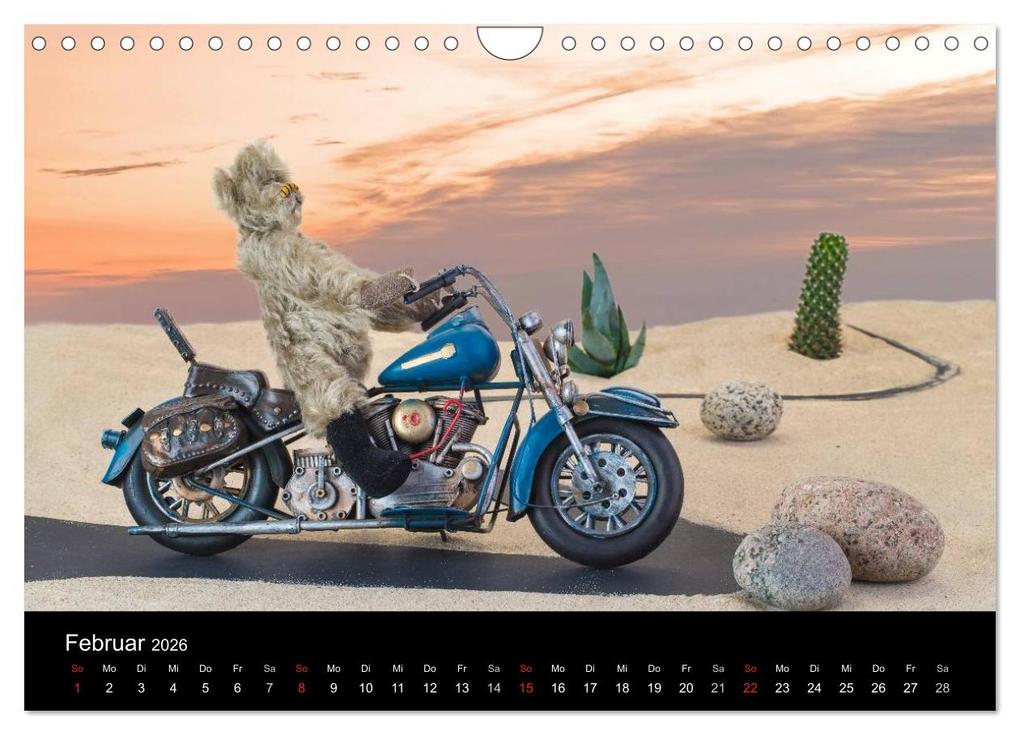 Weitere Ansicht: Martin Bären (Wandkalender 2026 DIN A4 quer), CALVENDO Monatskalender | HeschFoto HeschFoto, Calvendo, HeschFoto