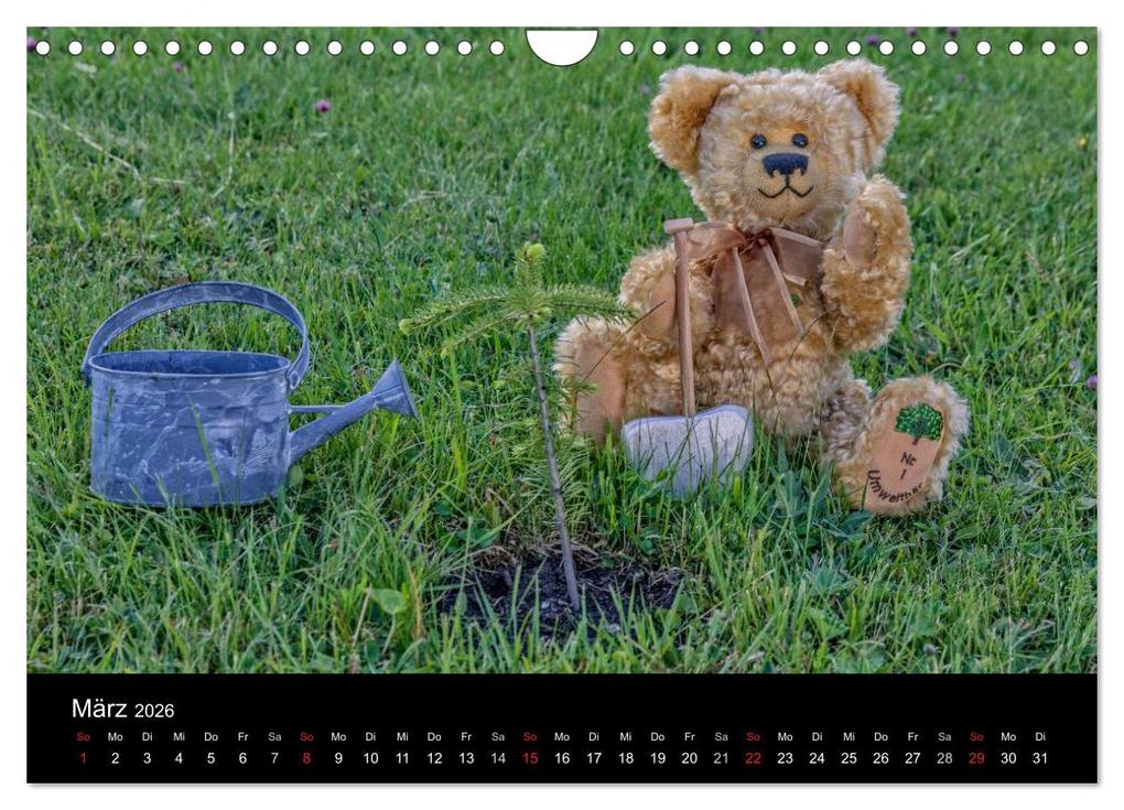 Weitere Ansicht: Martin Bären (Wandkalender 2026 DIN A4 quer), CALVENDO Monatskalender | HeschFoto HeschFoto, Calvendo, HeschFoto