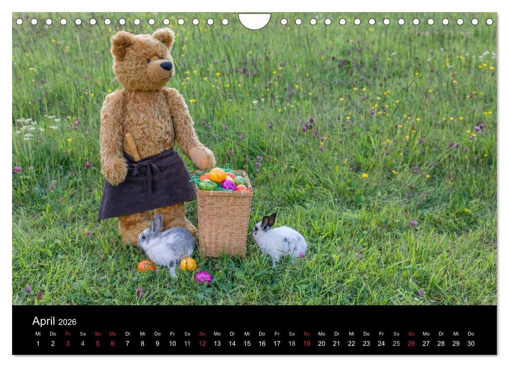 Weitere Ansicht: Martin Bären (Wandkalender 2026 DIN A4 quer), CALVENDO Monatskalender | HeschFoto HeschFoto, Calvendo, HeschFoto