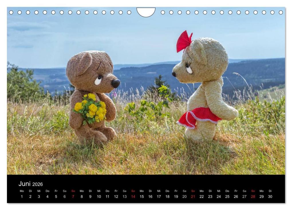 Weitere Ansicht: Martin Bären (Wandkalender 2026 DIN A4 quer), CALVENDO Monatskalender | HeschFoto HeschFoto, Calvendo, HeschFoto