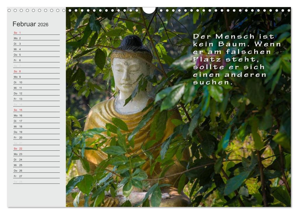 Weitere Ansicht: BUDDHA Buddhistische Weisheiten (Wandkalender 2026 DIN A3 quer), CALVENDO Monatskalender | BuddhaART BuddhaART, Calvendo, BuddhaART