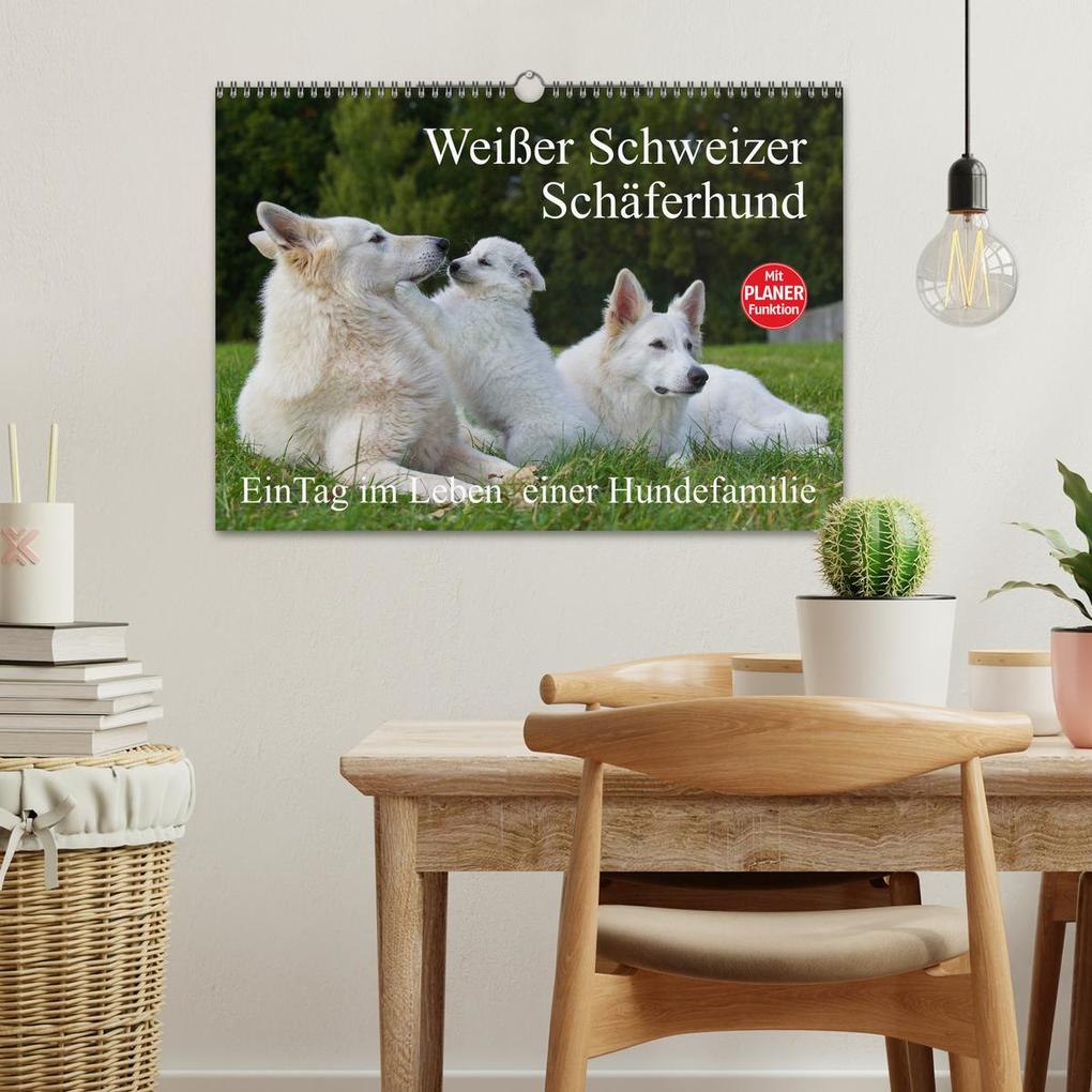 Weitere Ansicht: Weißer Schweizer Schäferhund - Ein Tag im Leben einer Hundefamilie (Wandkalender 2026 DIN A3 quer), CALVENDO Monatskalender | Sigrid Starick, Calvendo