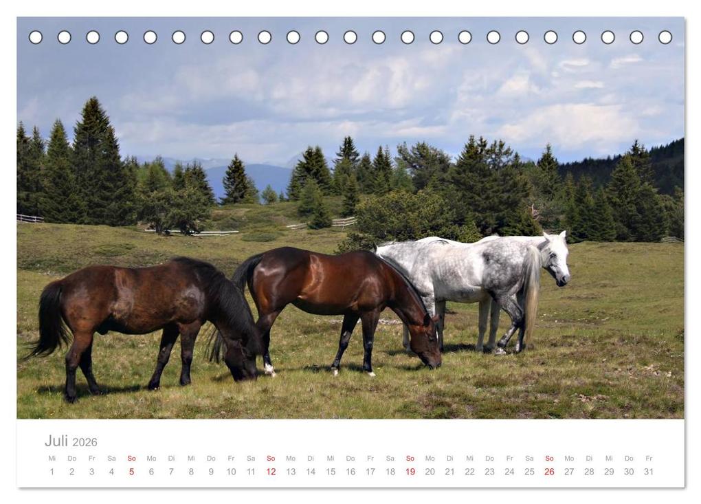 Weitere Ansicht: Pferde - Hobby und Leidenschaft (Tischkalender 2026 DIN A5 quer), CALVENDO Monatskalender | Georg Niederkofler, Calvendo