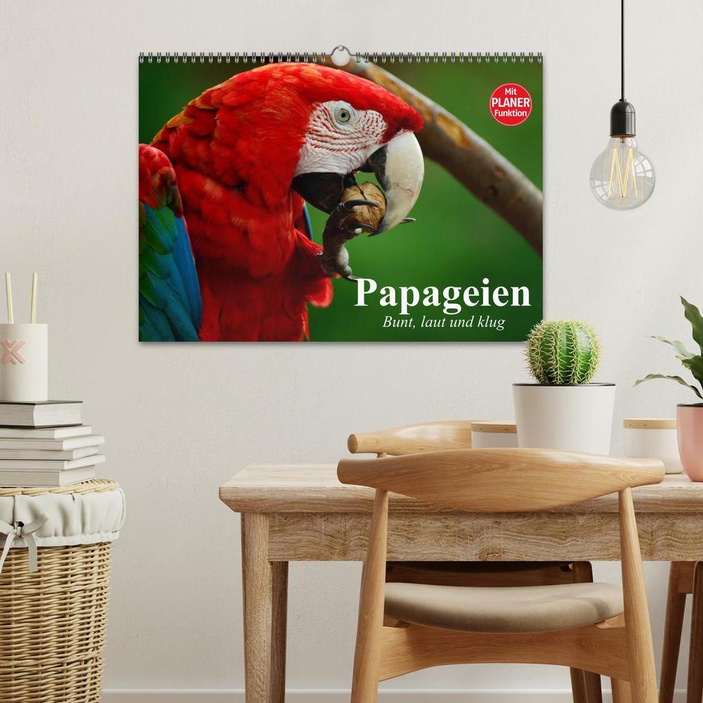 Weitere Ansicht: Papageien. Bunt, laut und klug (Wandkalender 2026 DIN A3 quer), CALVENDO Monatskalender | Elisabeth Stanzer, Calvendo