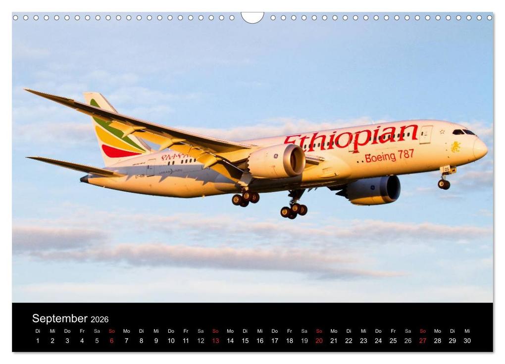 Weitere Ansicht: Schönheit der Flugzeuge (Wandkalender 2026 DIN A3 quer), CALVENDO Monatskalender | Daniel Philipp, Calvendo