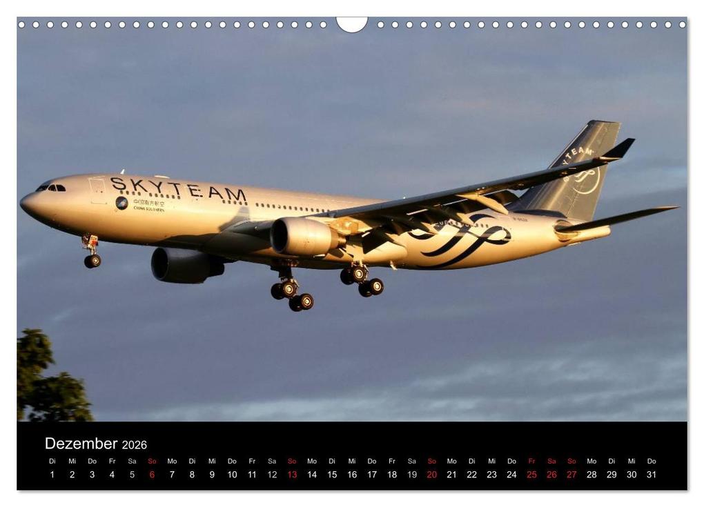 Weitere Ansicht: Schönheit der Flugzeuge (Wandkalender 2026 DIN A3 quer), CALVENDO Monatskalender | Daniel Philipp, Calvendo