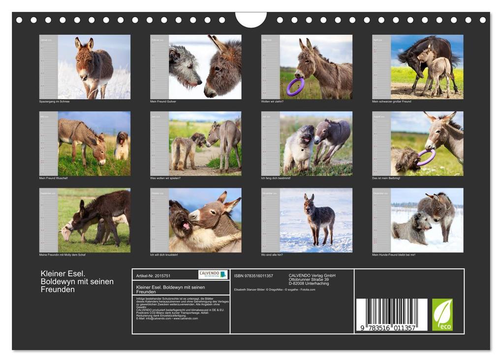 Weitere Ansicht: Kleiner Esel. Boldewyn mit seinen Freunden (Wandkalender 2026 DIN A4 quer), CALVENDO Monatskalender | Elisabeth Stanzer, Calvendo