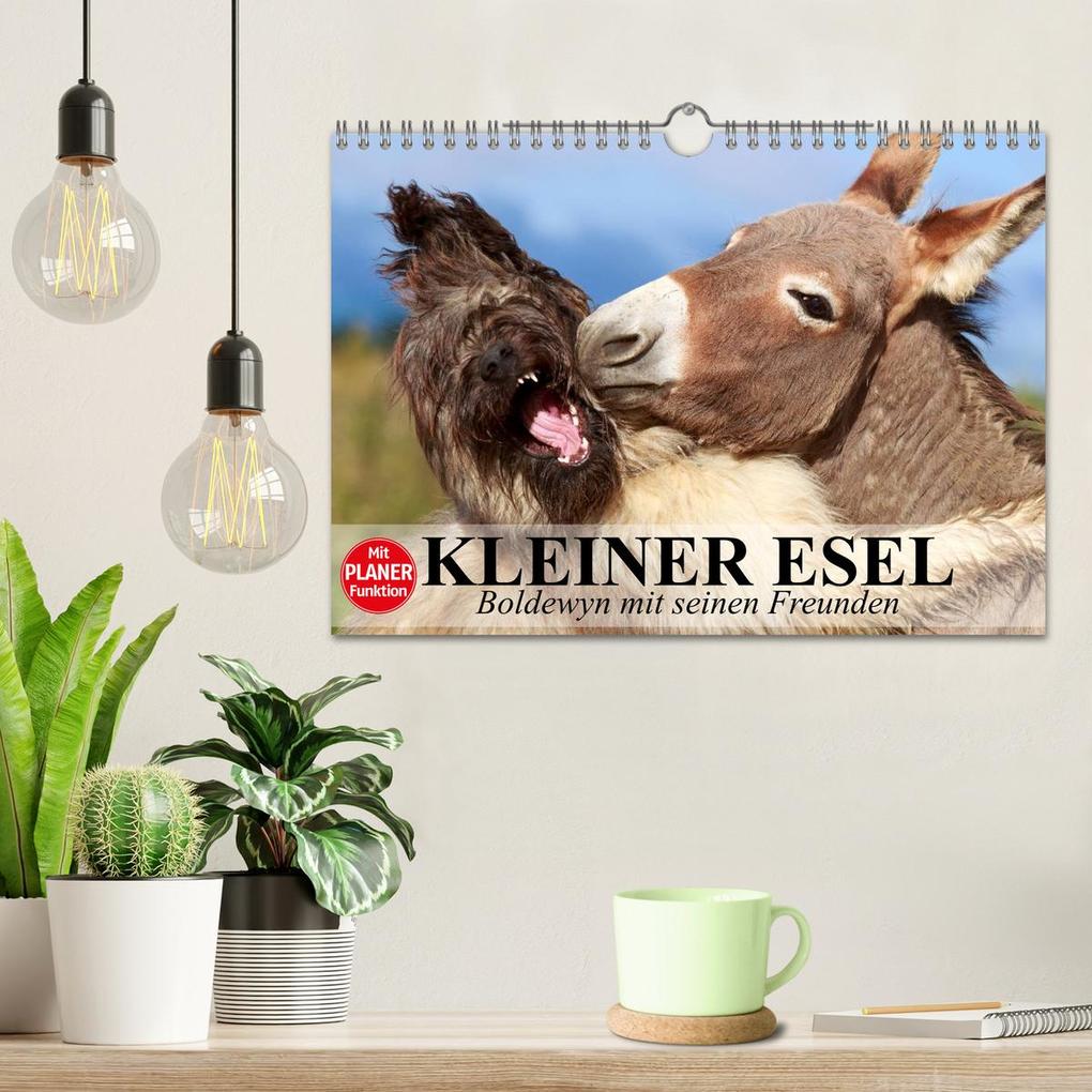 Weitere Ansicht: Kleiner Esel. Boldewyn mit seinen Freunden (Wandkalender 2026 DIN A4 quer), CALVENDO Monatskalender | Elisabeth Stanzer, Calvendo