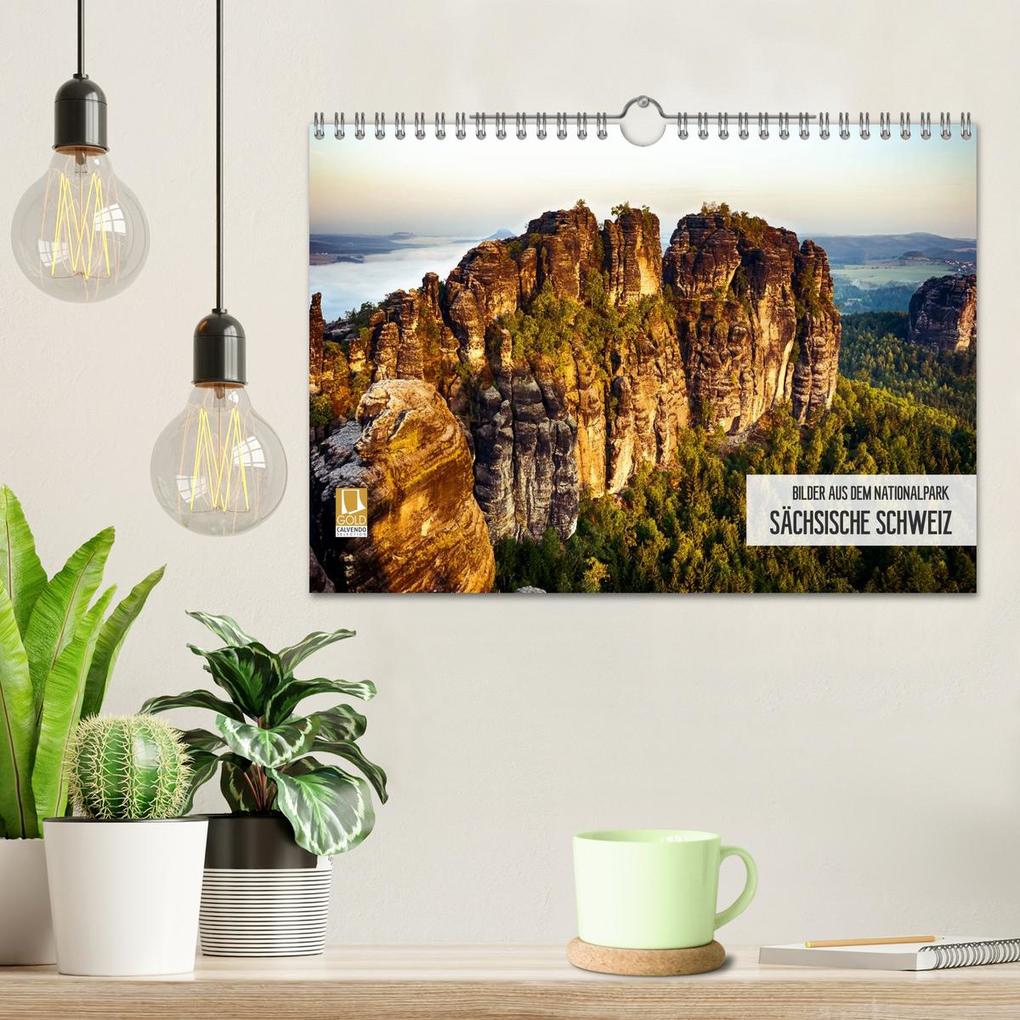 Weitere Ansicht: Bilder aus dem Nationalpark Sächsische Schweiz (Wandkalender 2026 DIN A4 quer), CALVENDO Monatskalender | Dirk Meutzner, Calvendo
