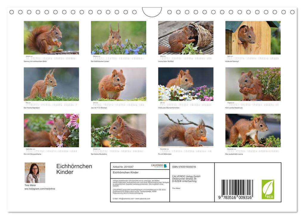 Weitere Ansicht: Eichhörnchen Kinder (Wandkalender 2026 DIN A4 quer), CALVENDO Monatskalender | Tine Meier, Calvendo