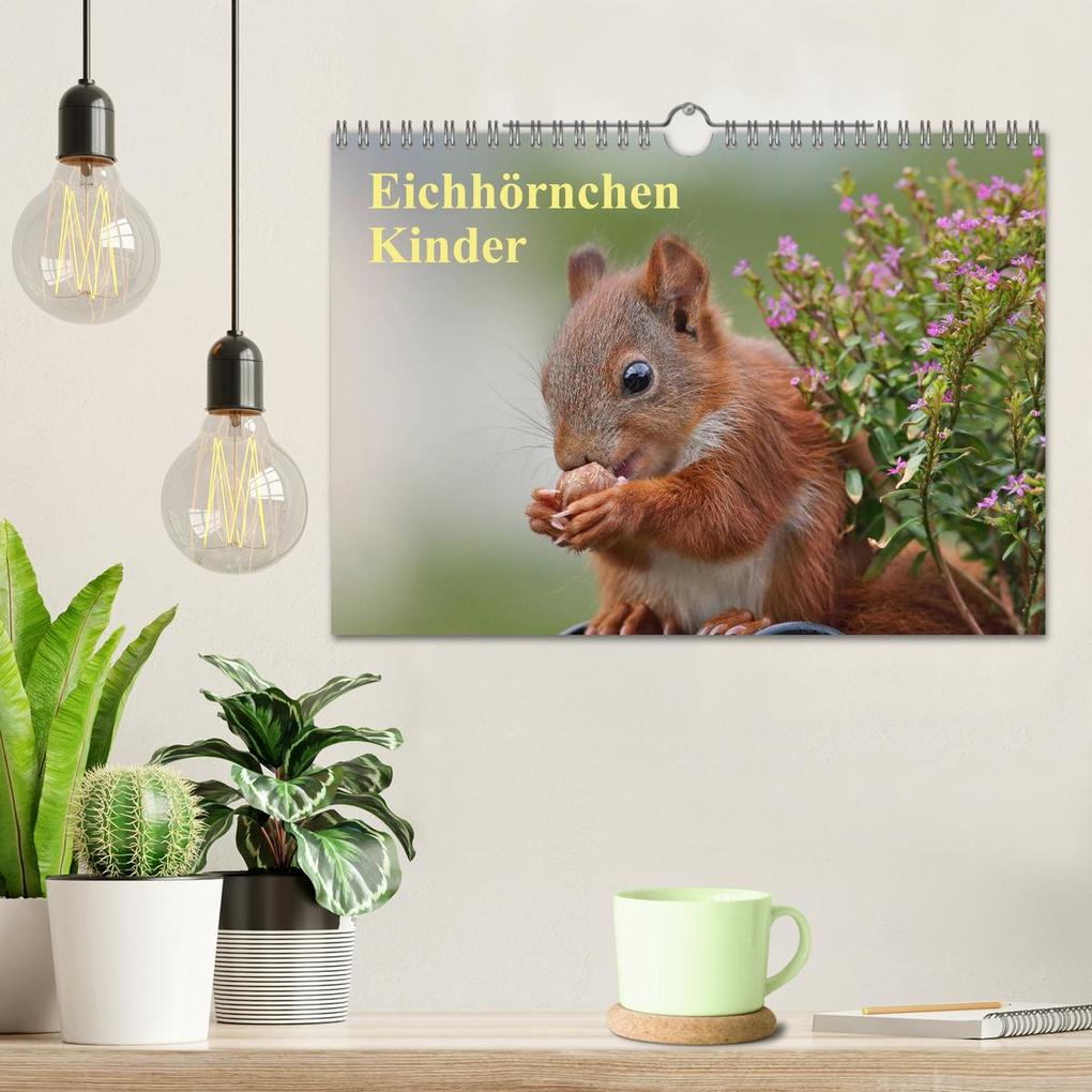 Weitere Ansicht: Eichhörnchen Kinder (Wandkalender 2026 DIN A4 quer), CALVENDO Monatskalender | Tine Meier, Calvendo