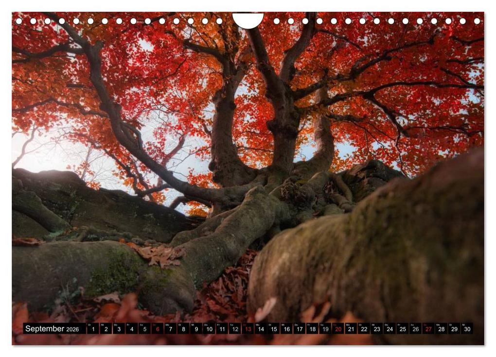 Weitere Ansicht: Lichtstimmungen Thüringen - Eine Reise von Morgens bis Abends (Wandkalender 2026 DIN A4 quer), CALVENDO Monatskalender | Ronny Wesche, Calvendo