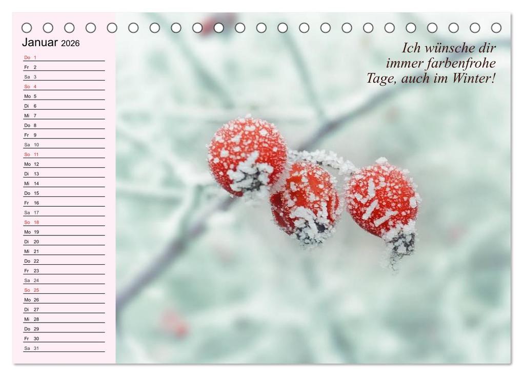 Weitere Ansicht: Der Freundinnen-Kalender. Was ich mir für dich wünsche! (Tischkalender 2026 DIN A5 quer), CALVENDO Monatskalender | Elisabeth Stanzer, Calvendo