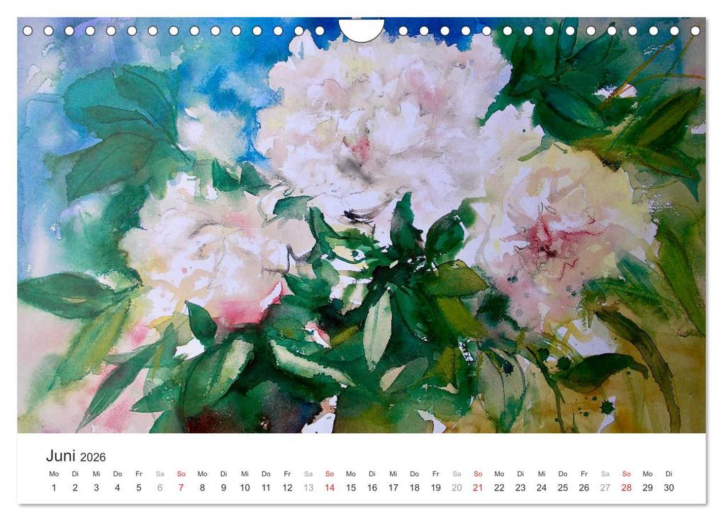 Weitere Ansicht: Blütenzauber - Aquarelle von ECKARD FUNCK (Wandkalender 2026 DIN A4 quer), CALVENDO Monatskalender | Eckard Funck, Calvendo
