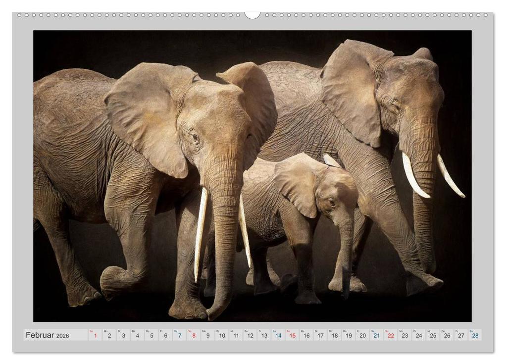 Weitere Ansicht: Elefanten - Portraits der besonderen Art (Wandkalender 2026 DIN A2 quer), CALVENDO Monatskalender | AD DESIGN Photo + PhotoArt, Angela Dölling, Calvendo, AD DESIGN Photo PhotoArt Dölling