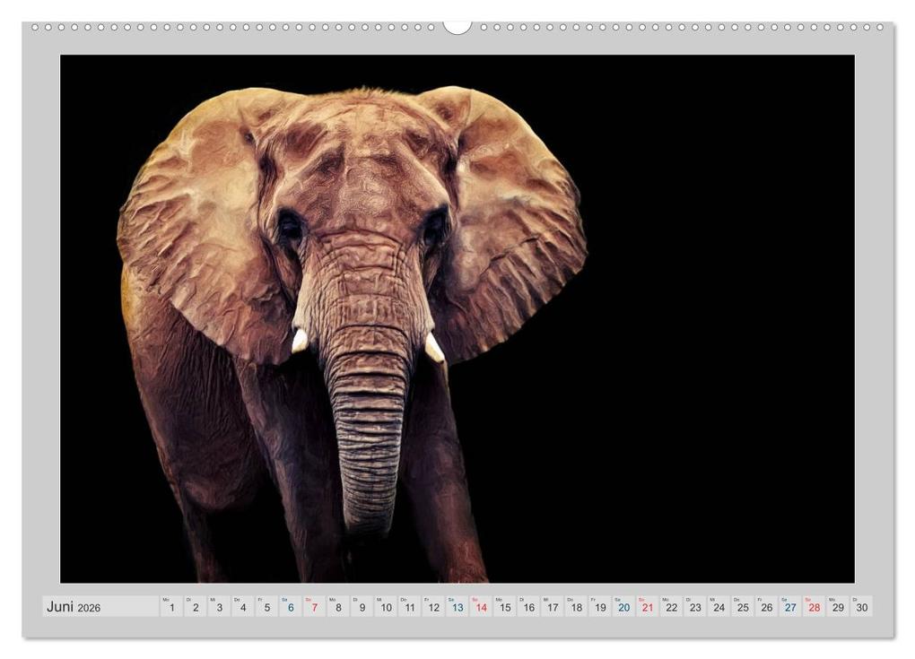 Weitere Ansicht: Elefanten - Portraits der besonderen Art (Wandkalender 2026 DIN A2 quer), CALVENDO Monatskalender | AD DESIGN Photo + PhotoArt, Angela Dölling, Calvendo, AD DESIGN Photo PhotoArt Dölling