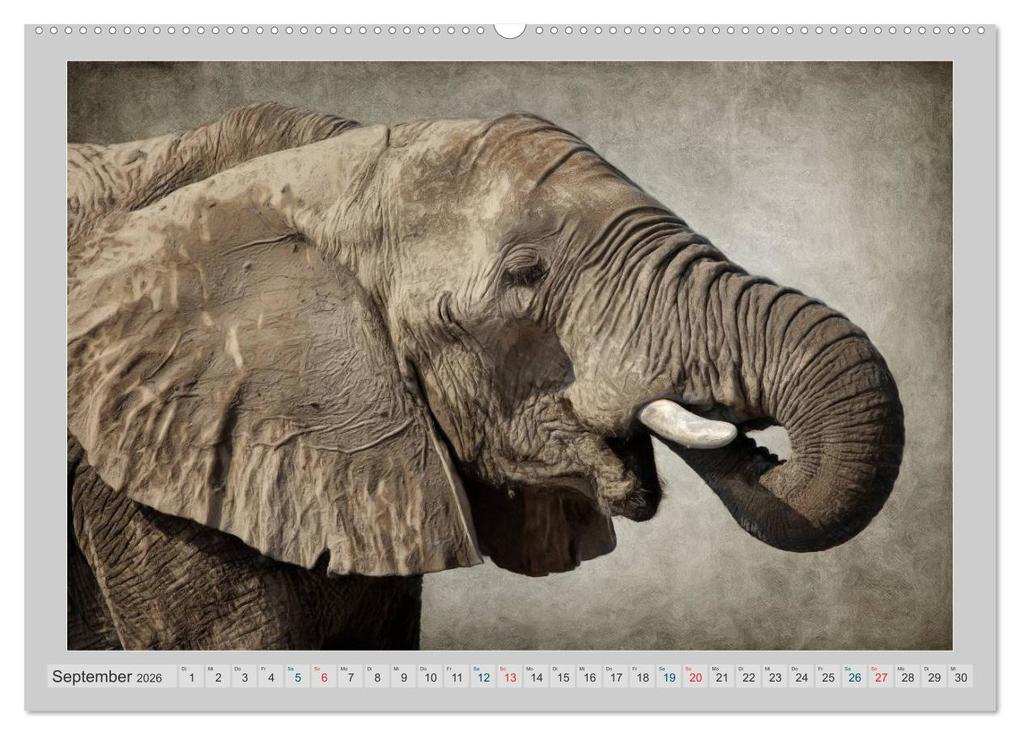 Weitere Ansicht: Elefanten - Portraits der besonderen Art (Wandkalender 2026 DIN A2 quer), CALVENDO Monatskalender | AD DESIGN Photo + PhotoArt, Angela Dölling, Calvendo, AD DESIGN Photo PhotoArt Dölling
