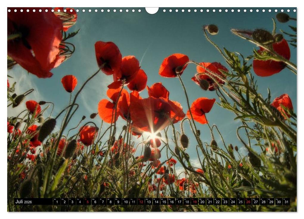 Weitere Ansicht: Lichtstimmungen Thüringen - Eine Reise von Morgens bis Abends (Wandkalender 2026 DIN A3 quer), CALVENDO Monatskalender | Ronny Wesche, Calvendo