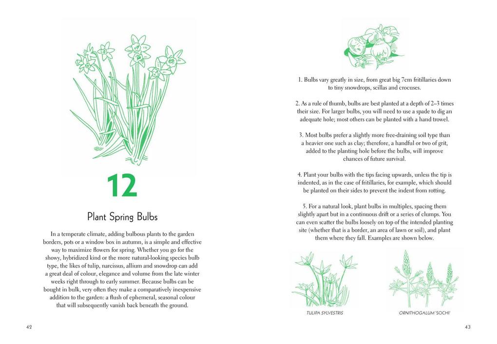 Weitere Ansicht: Fifty Things to Do in the Garden | Matt Collins