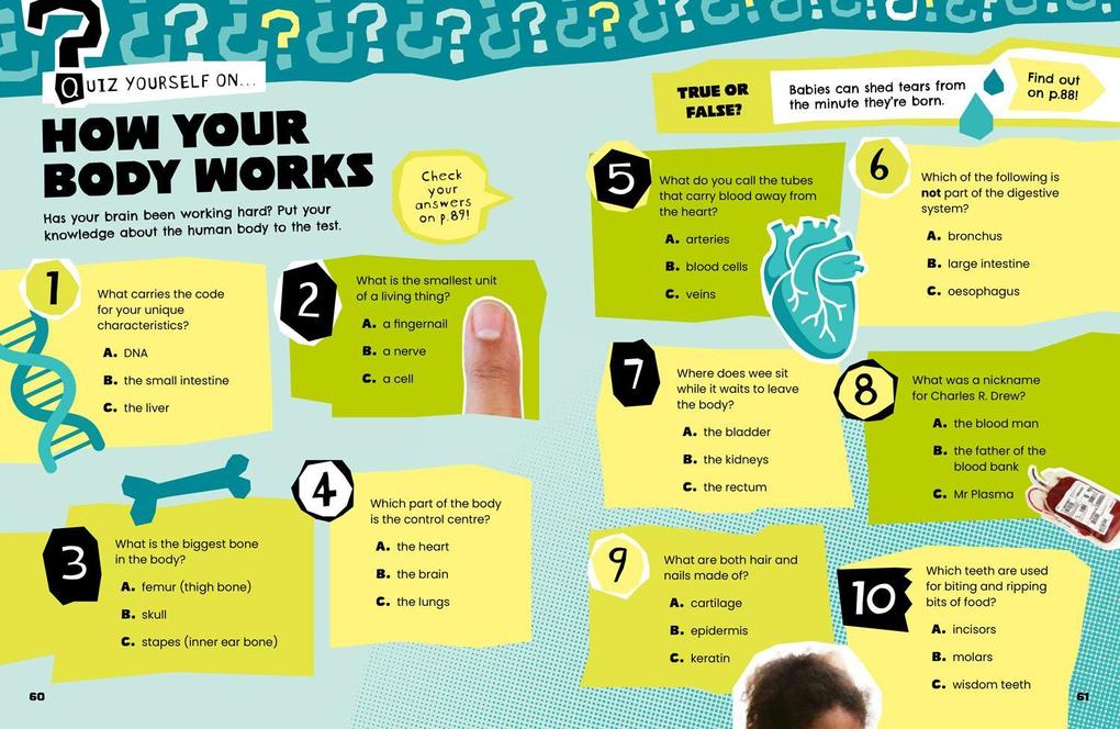 Weitere Ansicht: The Human Body | Collins Kids