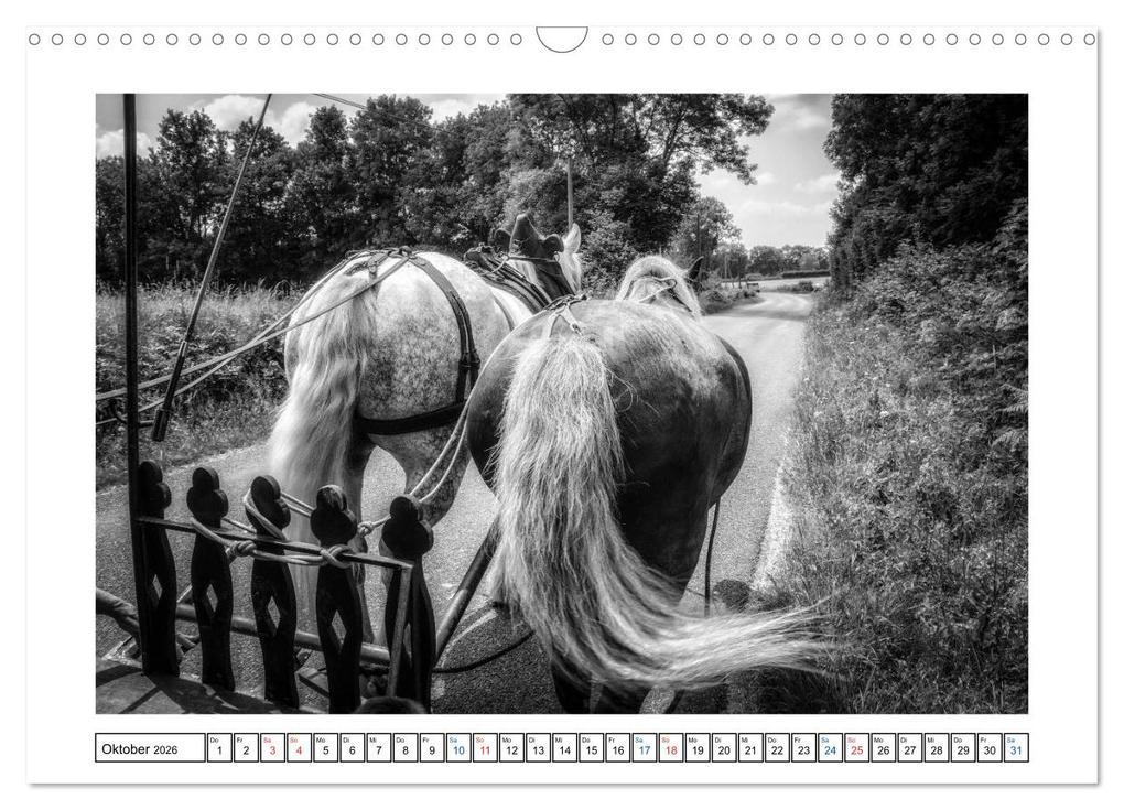 Weitere Ansicht: Unterwegs mit dem Zirkus (Wandkalender 2026 DIN A3 quer), CALVENDO Monatskalender | Alain Gaymard, Calvendo