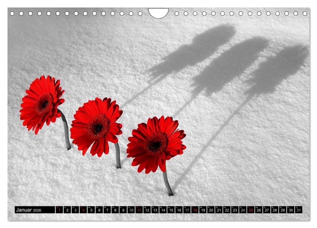 Weitere Ansicht: Schwarz - Weiß - Rot (Wandkalender 2026 DIN A4 quer), CALVENDO Monatskalender | Reinhold Ratzer, Calvendo