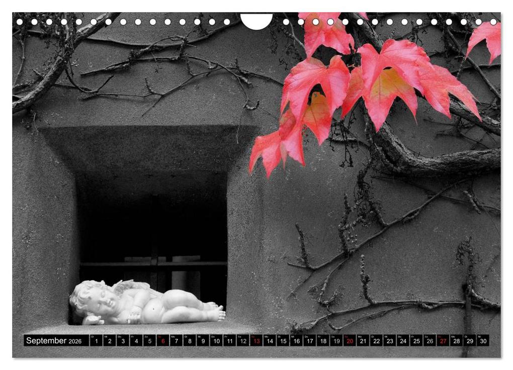 Weitere Ansicht: Schwarz - Weiß - Rot (Wandkalender 2026 DIN A4 quer), CALVENDO Monatskalender | Reinhold Ratzer, Calvendo