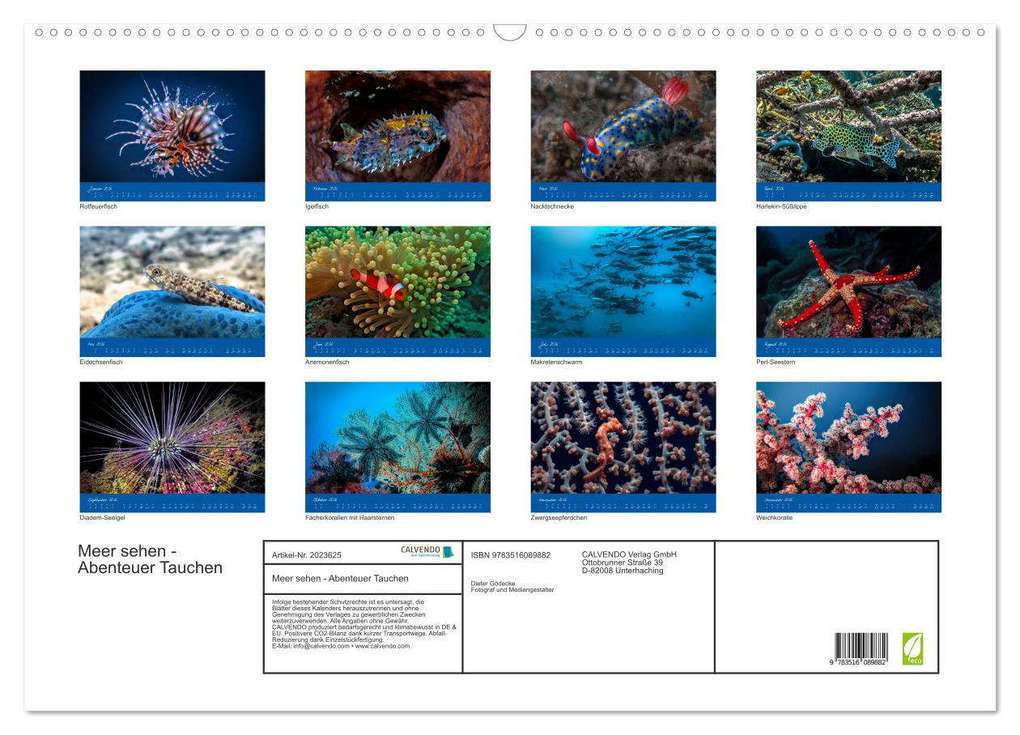 Weitere Ansicht: Meer sehen - Abenteuer Tauchen (Wandkalender 2026 DIN A2 quer), CALVENDO Monatskalender | Dieter Gödecke, Calvendo
