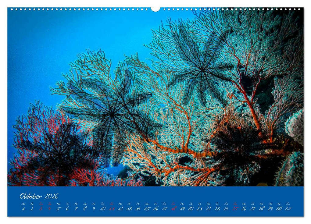 Weitere Ansicht: Meer sehen - Abenteuer Tauchen (Wandkalender 2026 DIN A2 quer), CALVENDO Monatskalender | Dieter Gödecke, Calvendo