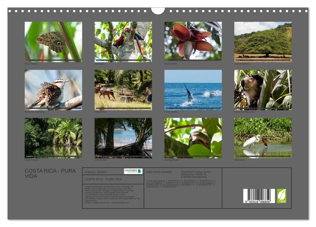 Weitere Ansicht: COSTA RICA - PURA VIDA (Wandkalender 2026 DIN A3 quer), CALVENDO Monatskalender | Bodinifoto Bodinifoto, Calvendo, Bodinifoto