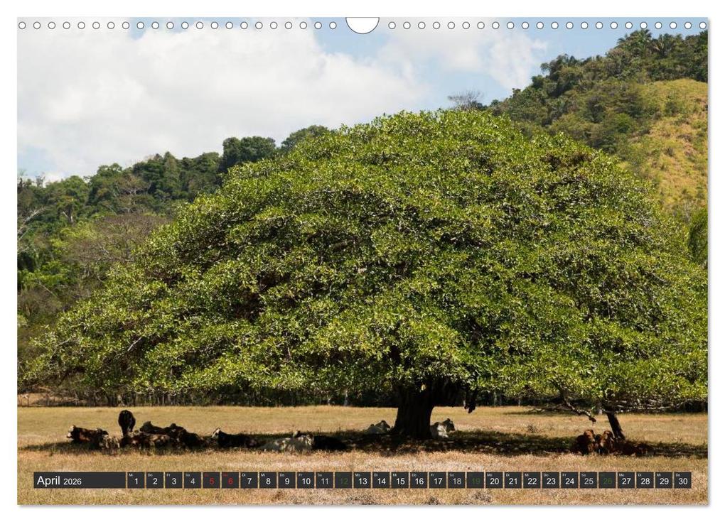 Weitere Ansicht: COSTA RICA - PURA VIDA (Wandkalender 2026 DIN A3 quer), CALVENDO Monatskalender | Bodinifoto Bodinifoto, Calvendo, Bodinifoto