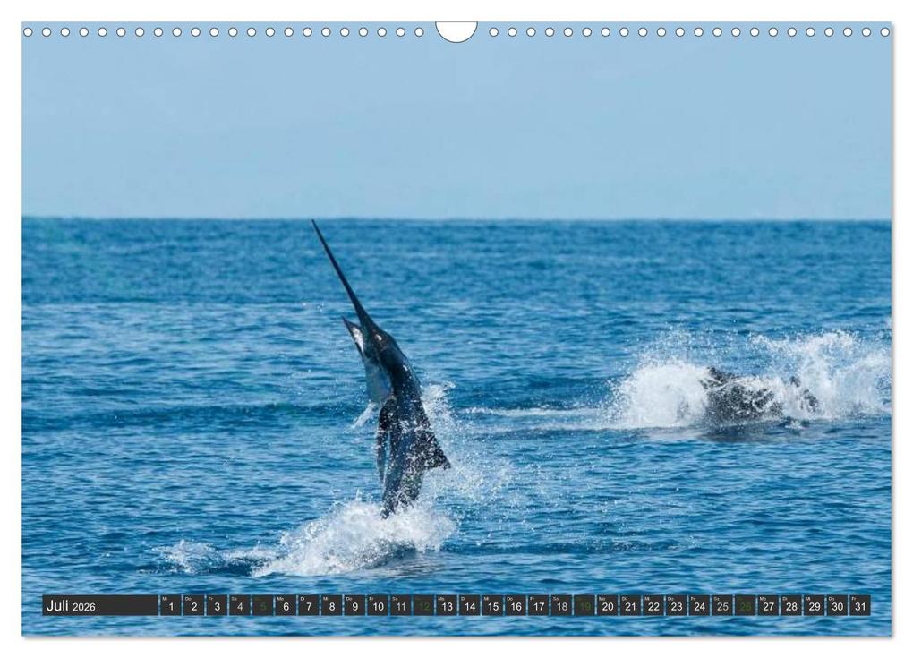 Weitere Ansicht: COSTA RICA - PURA VIDA (Wandkalender 2026 DIN A3 quer), CALVENDO Monatskalender | Bodinifoto Bodinifoto, Calvendo, Bodinifoto