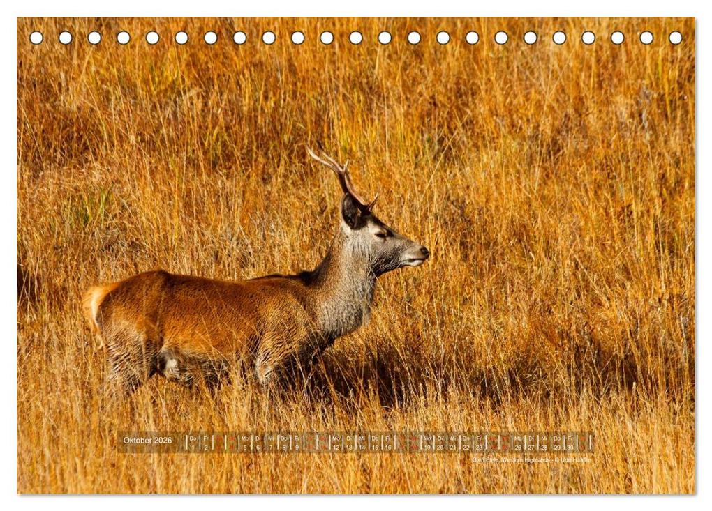 Weitere Ansicht: Faszination Schottland 2026 (Tischkalender 2026 DIN A5 quer), CALVENDO Monatskalender | Udo Haafke, Calvendo