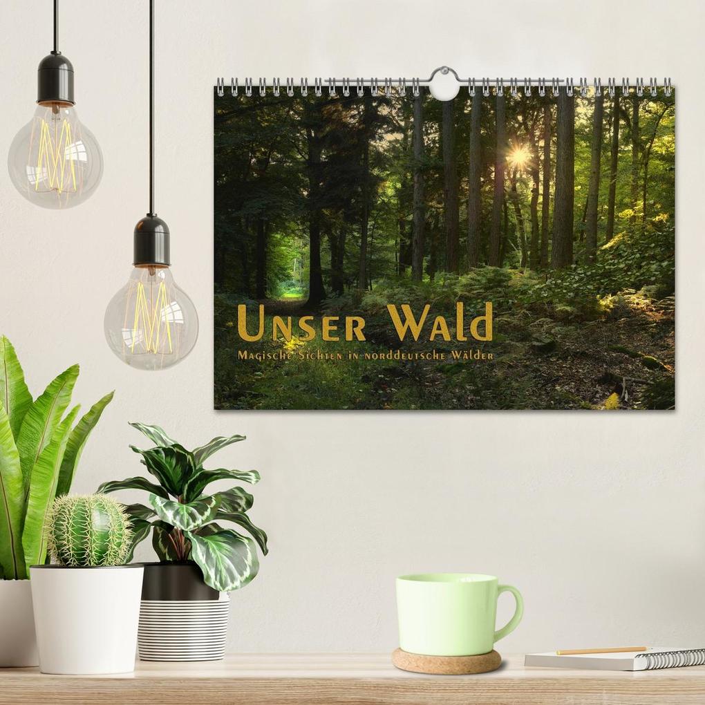 Weitere Ansicht: Unser Wald - Magische Sichten in norddeutsche Wälder / Geburtstagskalender (Wandkalender 2026 DIN A4 quer), CALVENDO Monatskalender | Heike Langenkamp, Calvendo