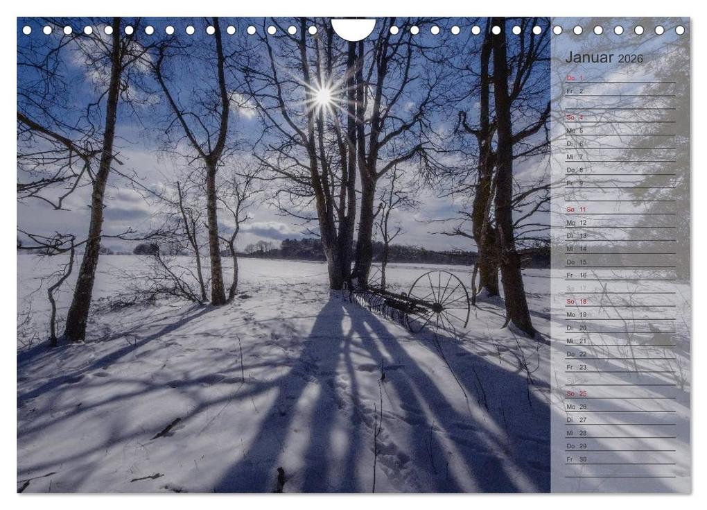 Weitere Ansicht: Unser Wald - Magische Sichten in norddeutsche Wälder / Geburtstagskalender (Wandkalender 2026 DIN A4 quer), CALVENDO Monatskalender | Heike Langenkamp, Calvendo