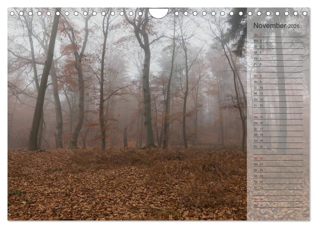 Weitere Ansicht: Unser Wald - Magische Sichten in norddeutsche Wälder / Geburtstagskalender (Wandkalender 2026 DIN A4 quer), CALVENDO Monatskalender | Heike Langenkamp, Calvendo