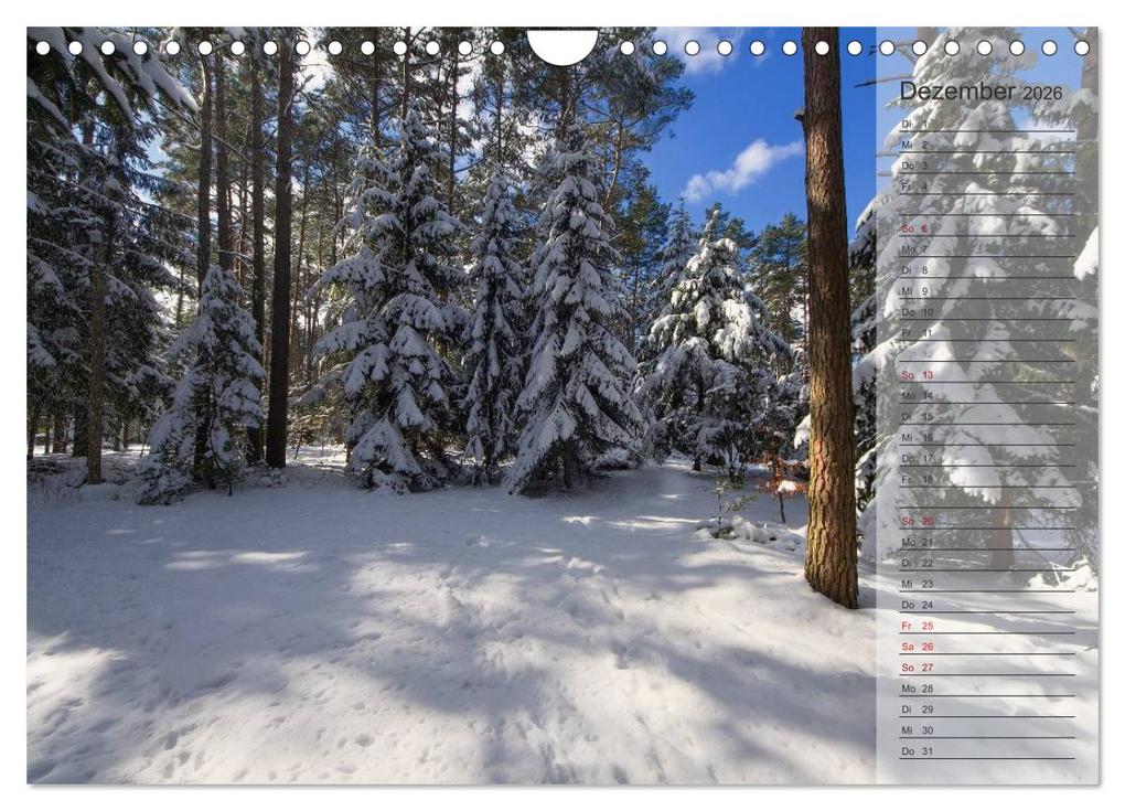 Weitere Ansicht: Unser Wald - Magische Sichten in norddeutsche Wälder / Geburtstagskalender (Wandkalender 2026 DIN A4 quer), CALVENDO Monatskalender | Heike Langenkamp, Calvendo