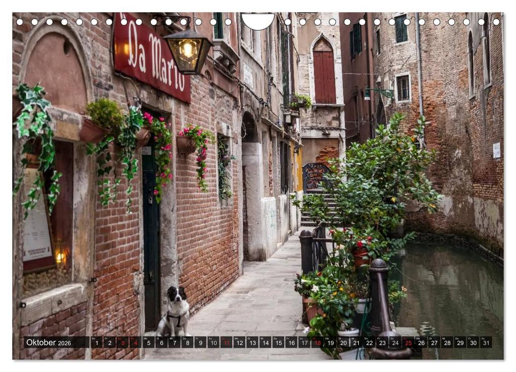 Weitere Ansicht: VENEDIG charmante Details (Wandkalender 2026 DIN A4 quer), CALVENDO Monatskalender | Melanie Viola, Calvendo