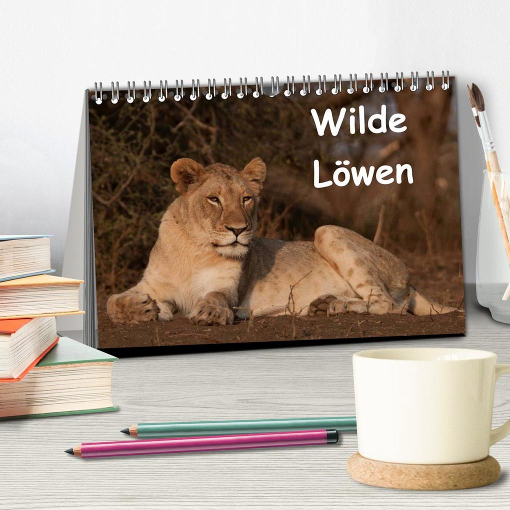 Weitere Ansicht: Wilde Löwen (Tischkalender 2026 DIN A5 quer), CALVENDO Monatskalender | Britta Ohm, Calvendo