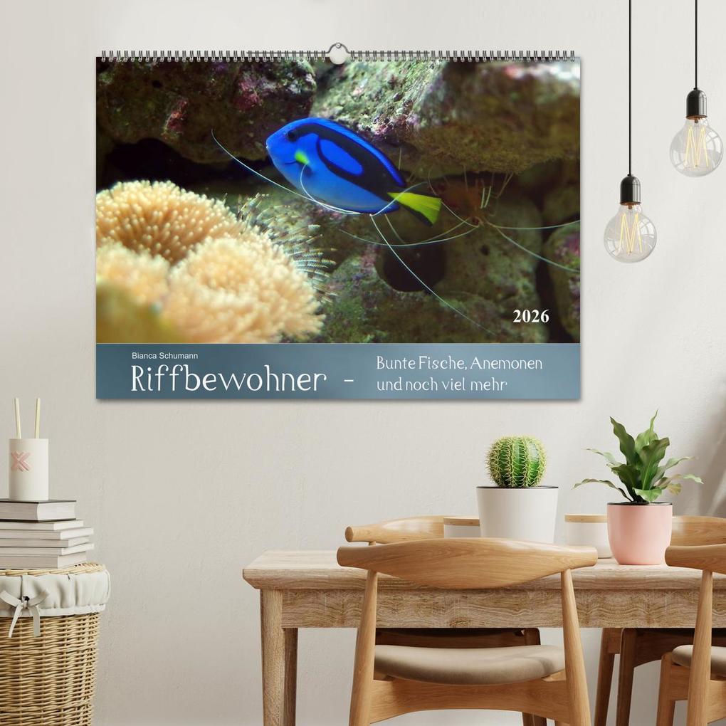 Weitere Ansicht: Riffbewohner - Bunte Fische, Anemonen und noch viel mehr (Wandkalender 2026 DIN A2 quer), CALVENDO Monatskalender | Bianca Schumann, Calvendo