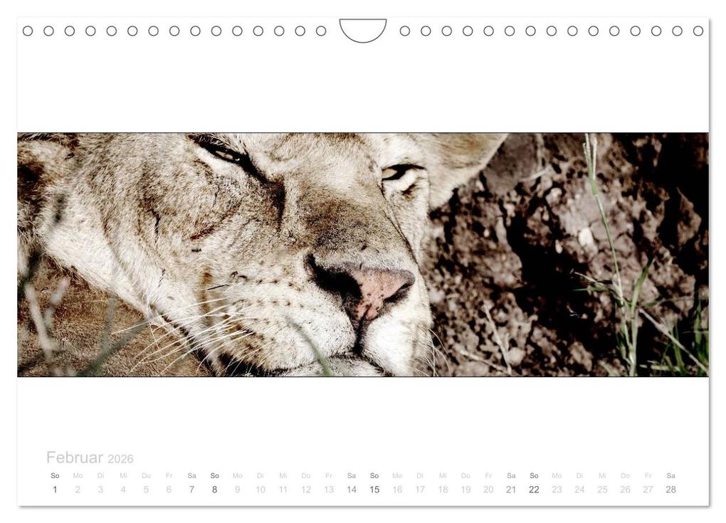 Weitere Ansicht: Serengeti Panorama (Wandkalender 2026 DIN A4 quer), CALVENDO Monatskalender | studio visuell photography, Calvendo
