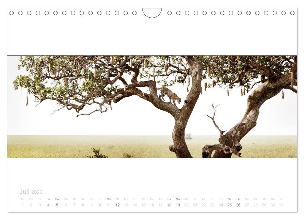 Weitere Ansicht: Serengeti Panorama (Wandkalender 2026 DIN A4 quer), CALVENDO Monatskalender | studio visuell photography, Calvendo