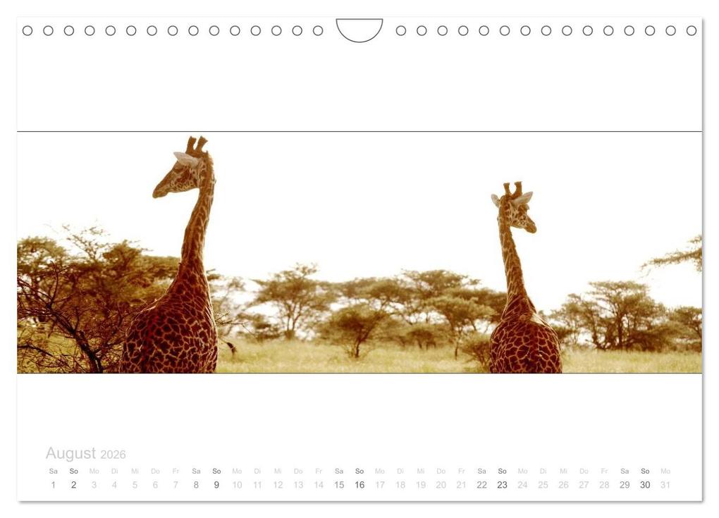 Weitere Ansicht: Serengeti Panorama (Wandkalender 2026 DIN A4 quer), CALVENDO Monatskalender | studio visuell photography, Calvendo