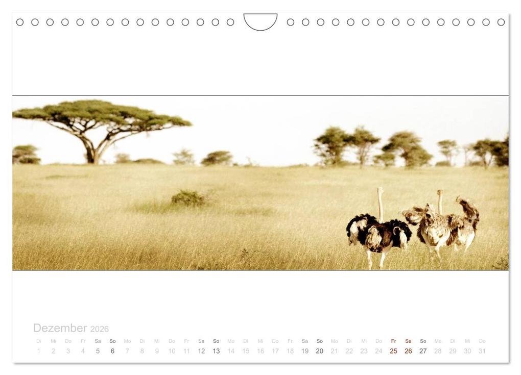 Weitere Ansicht: Serengeti Panorama (Wandkalender 2026 DIN A4 quer), CALVENDO Monatskalender | studio visuell photography, Calvendo