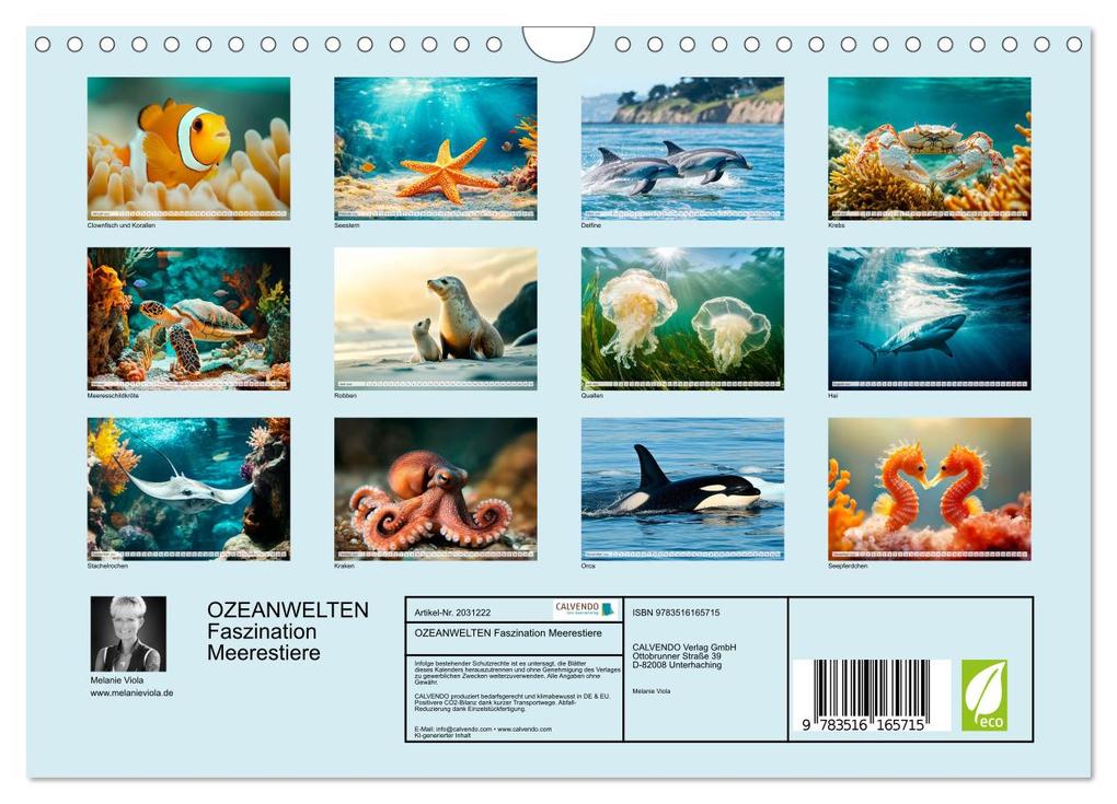 Weitere Ansicht: OZEANWELTEN Faszination Meerestiere (Wandkalender 2026 DIN A4 quer), CALVENDO Monatskalender | Melanie Viola, Calvendo