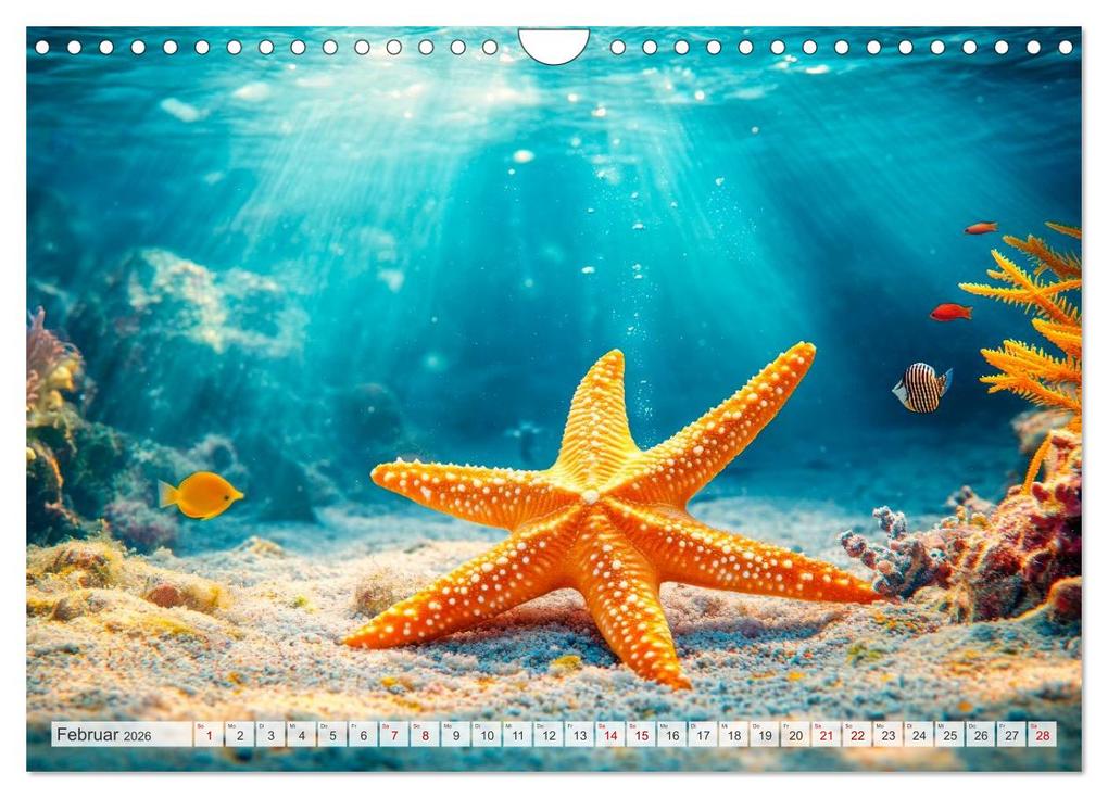 Weitere Ansicht: OZEANWELTEN Faszination Meerestiere (Wandkalender 2026 DIN A4 quer), CALVENDO Monatskalender | Melanie Viola, Calvendo